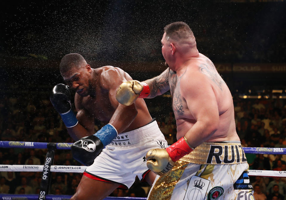 Boxing Schedule Amy Naert vs. Marine Tollet Boxing Fight Preview